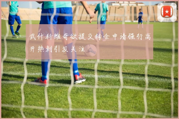 武什科维奇欲提交转会申请强行离开热刺引发关注