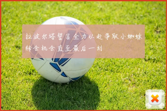 拉波尔塔誓言全力以赴争取小蜘蛛转会机会直至最后一刻